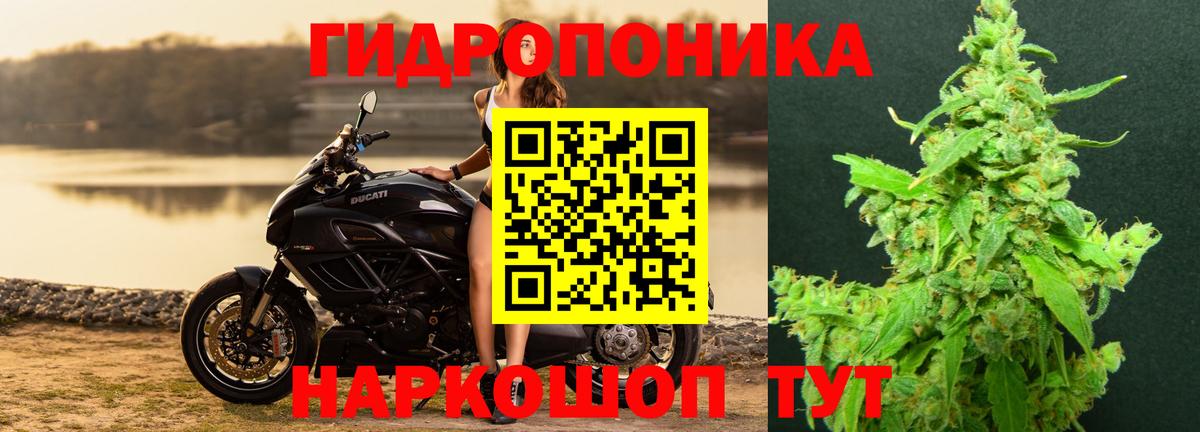 Конопля THC 21% Североуральск